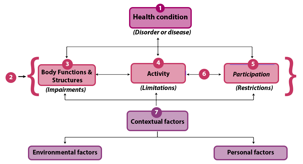 The World Health Organization’s International Classification of Functioning (ICF). See long description below.